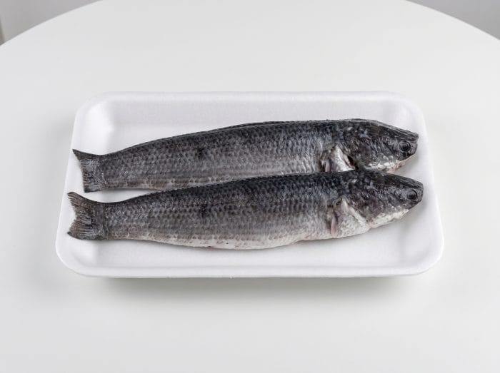 Frozen Snakehead Fish Whole Cleaned 400g/up