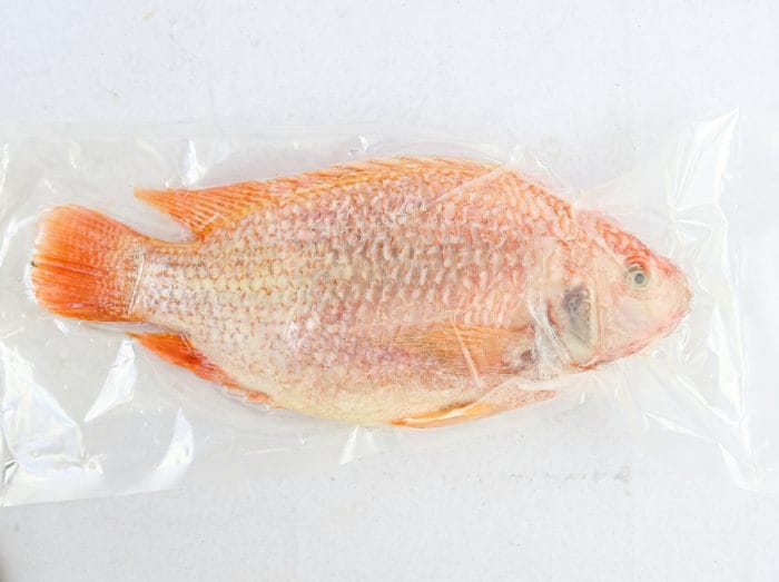 Frozen Whole Cleaned Red Tilapia (500–800g)