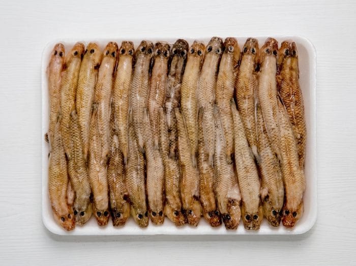 Frozen Gobies Fish 500g/tray