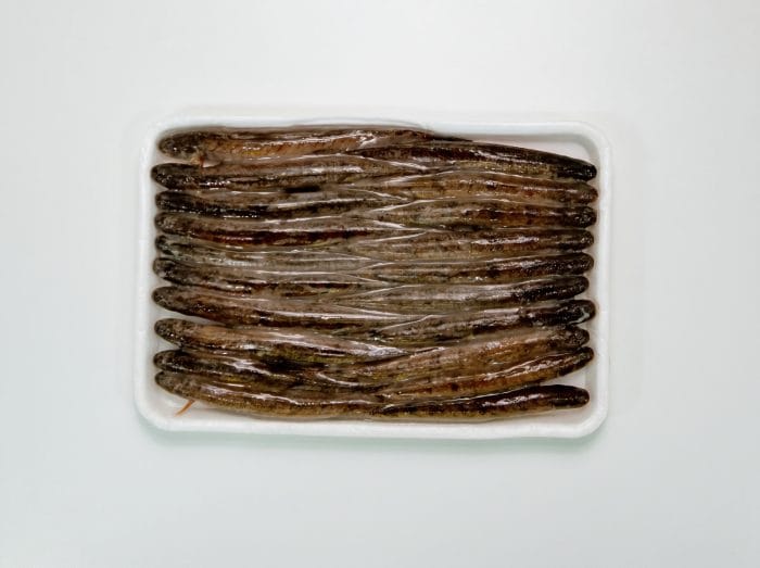 Frozen Spiny Goby Fish 500g/tray