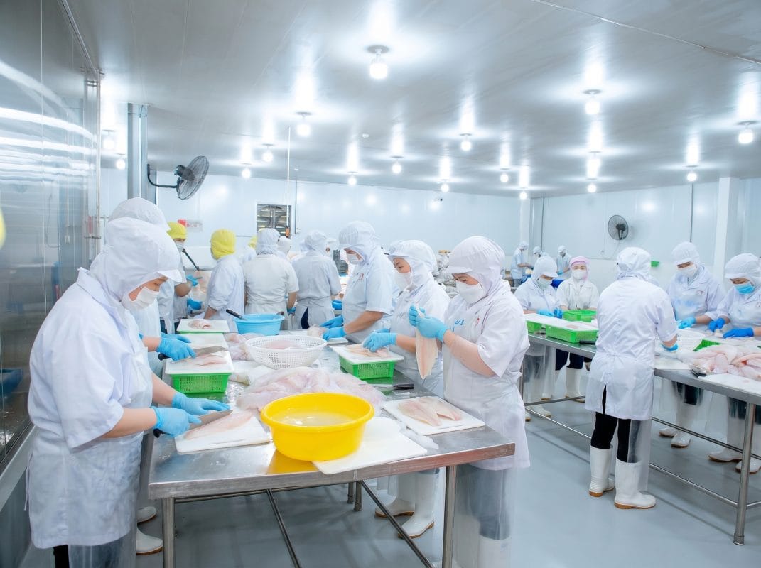  How to Choose a Reliable Seafood Supplier in Vietnam