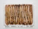 Frozen Gobies Fish 500g/tray