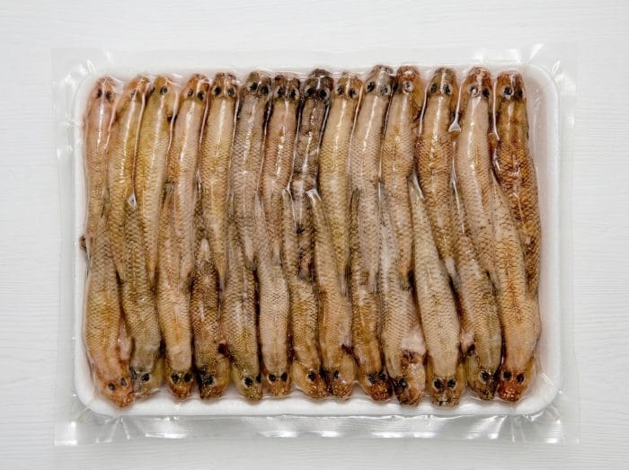 Frozen Gobies Fish 500g/tray
