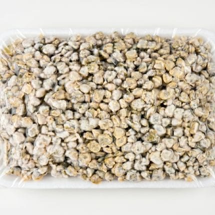 Frozen Asian Clam Meat 500g/tray
