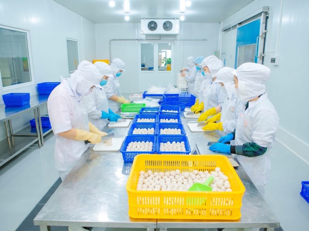 OEM Seafood Processing Services in Vietnam 2 OEM Seafood Processing Services in Vietnam